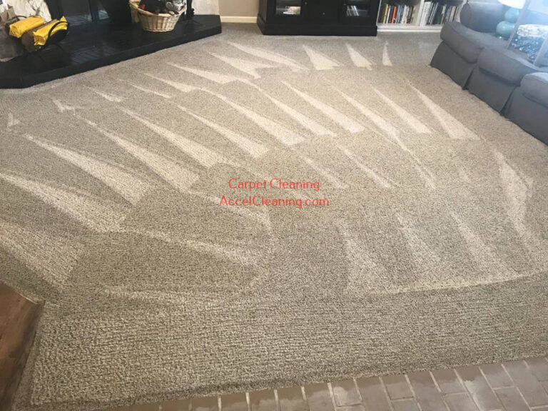 Best Services Carpet Cleaning Bellevue, WA 500+ 5* Reviews (206