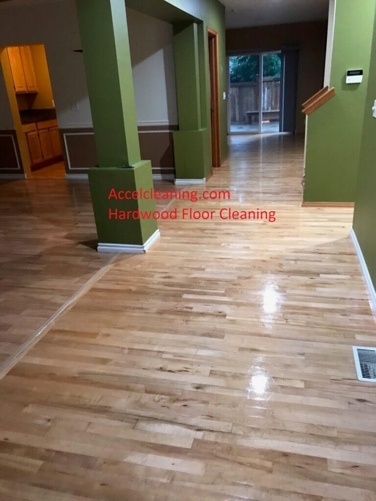 500+ 5* Reviews (206) 9471928 Carpet Cleaning Seattle, WA